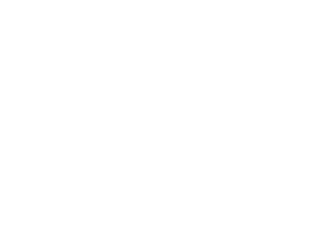 Clutch Partner