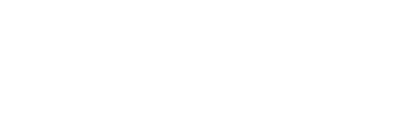 Microsoft Partner